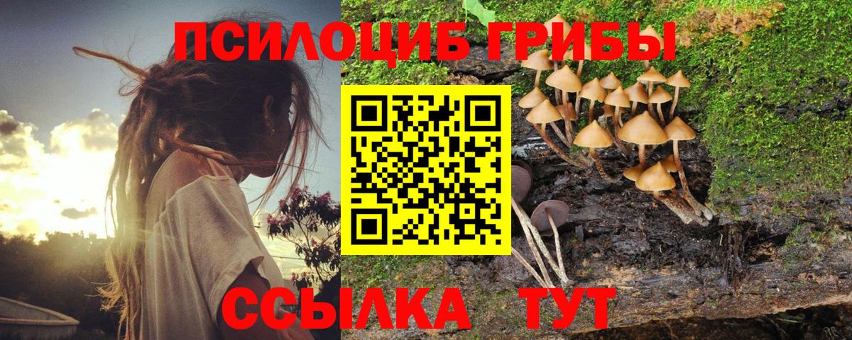 Галлюциногенные грибы Cubensis  Вход с VPN  Дубна 